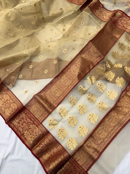 Chanderi Pure Tissue Silk Saree 01